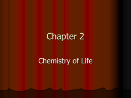 Chapter 2