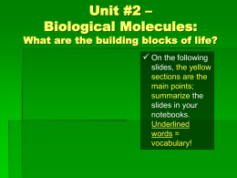 Ch. 2 – Bio Chem
