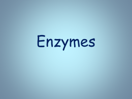 Enzymes - Kelso High School