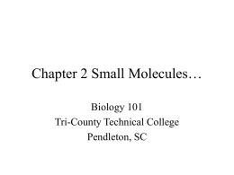 Chapter 2 Small Molecules… - Tri