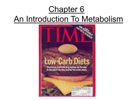 Chapter 6 An Introduction To Metabolism