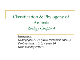Classification & Phylogeny of Animals Zoology Chapter 4