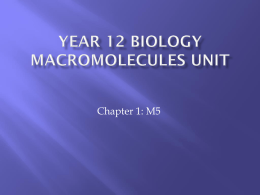 Year 12 Biology Macromolecules Unit