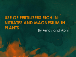 Use of Fertilizers rich in Nitrates and Magnesium in Plants