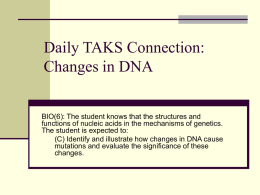 Daily TAKS Connection: DNA