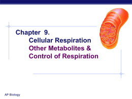 Chapter 9. Cellular Respiration Other Metabolites