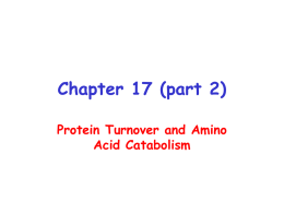 Chapter 17 (part 2) - University of Nevada, Reno