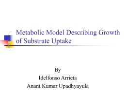 Metabolic Model Describing Growth of Substrate Uptake