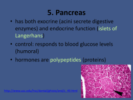 5. Pancreas