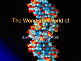 The Wonderful World of DNA
