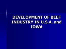 DEVELOPMENT OF BEEF INDUSTRY IN U.S.A. AND Iowa State