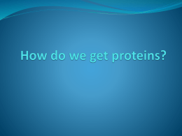 How do we get proteins? - Sebastian Charter Junior High