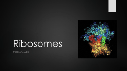 Ribosomes - Keystone College