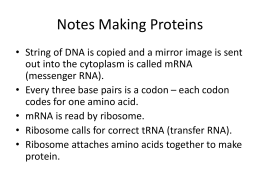 Notes Making Proteins