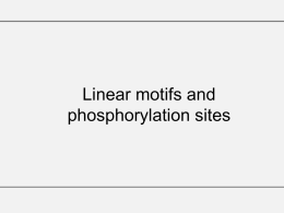 LinearMotifs&PhosphorylationSites