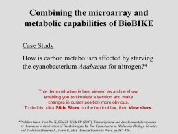 C-metabolism-tour - BioBIKE Portal