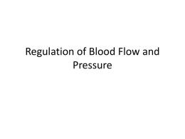 Regulation of Blood Flow and Pressure