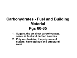 Carbohydrates - Fuel and Building Material