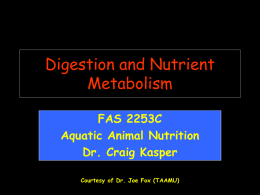 Lecture 4: Digestion and Nutrient Metabolism