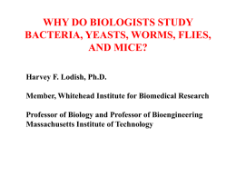 No Slide Title - Whitehead Institute for Biomedical Research
