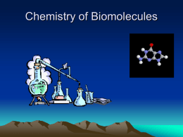 Bio Chap 2 Biomolecules
