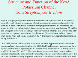 Structure and Function of the KcsA Potassium Channel from