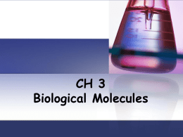 ch-3-bio-molecules
