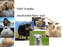 Protein Fibers--Wool
