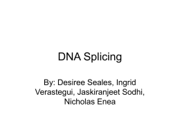 DNA Splicing - Berkeley Cosmology Group