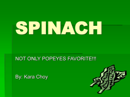 Spinach 2