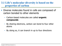 3.1 Life`s molecular diversity is based on the