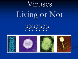 Viruses Living or Not