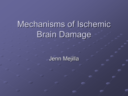 Mechanisms of Ischemic Brain Damage