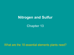 N and S - Plant, Environmental and Soil Sciences