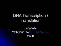 DNA Transcription / Translation