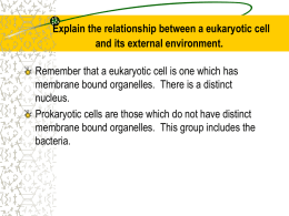 Cell structure & function