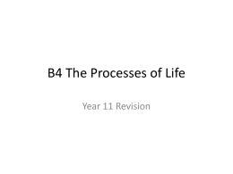 B4 The Processes of Life - Blackpool Aspire Academy