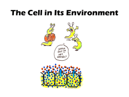 The Cell in Its Environment