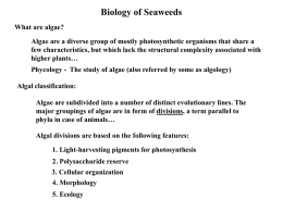 Biology of Seaweeds