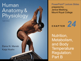 Chapter 24 PowerPoint – Part b