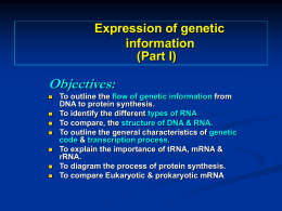 Lecture 16: Expression of genetic information