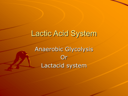 Lactic Acid System - PhysicalEducationatMSC