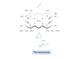 Figure 10-1 The heme group.