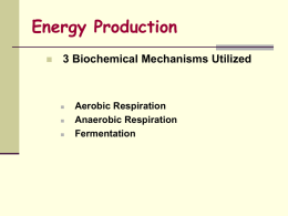 Microbial physiology. Microbial metabolism. Enzymes. Nutrition