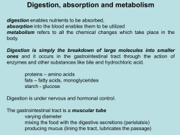 Digestion, absorbtion, metabolism