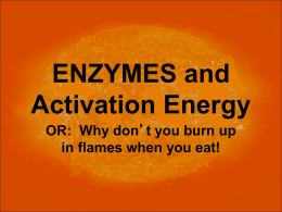2-d Enzymes and Activation Energy Notes