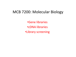Genomic and cDNA libraries, library screening