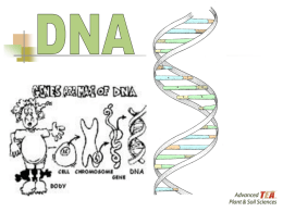 Lesson 15a Components of DNA #1 PPT