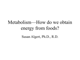 6) Metabolism