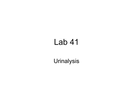 Lab 41 Urinalysis